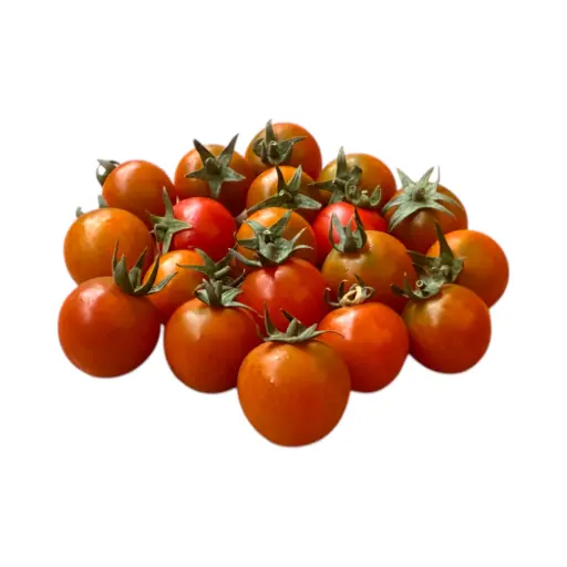 Jitomate cherry ETIQUETA CHINAMPERA